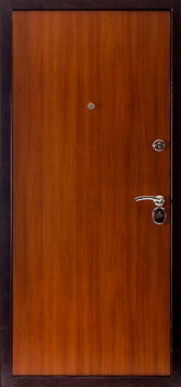 Дверь с ковкой №3